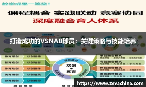 打造成功的VSNAB球员：关键策略与技能培养